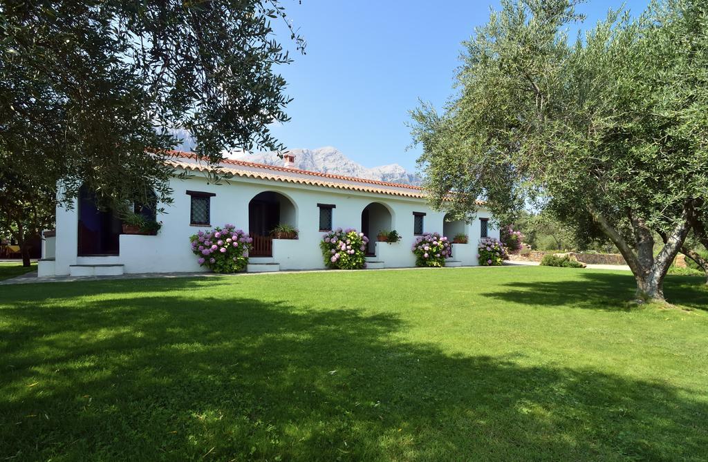 Agriturismo Guthiddai أوليينا الغرفة الصورة