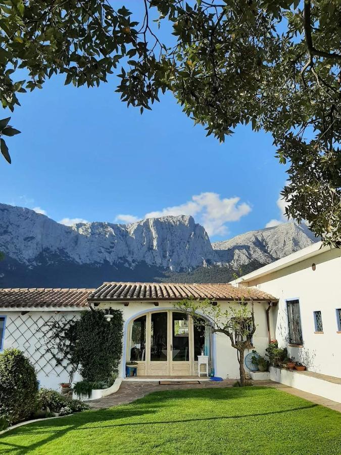 Agriturismo Guthiddai أوليينا المظهر الخارجي الصورة