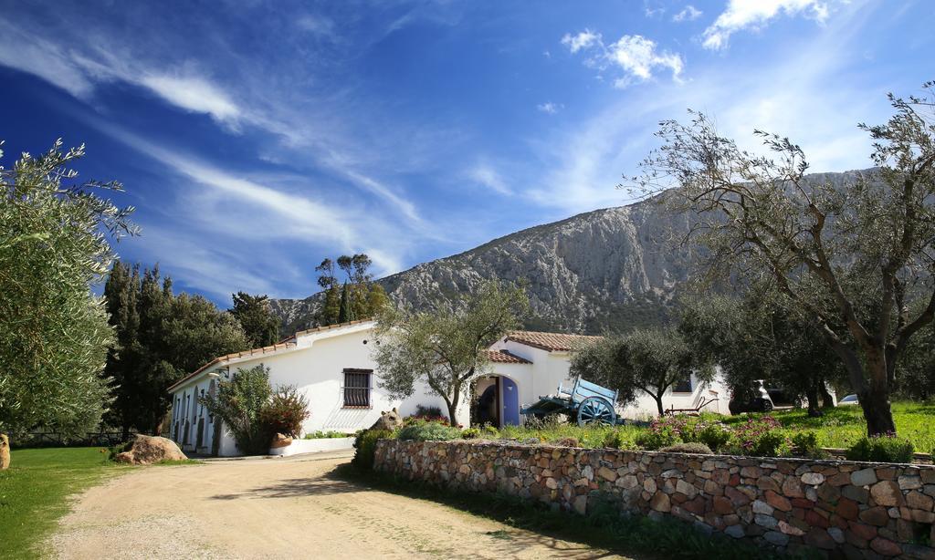 Agriturismo Guthiddai أوليينا المظهر الخارجي الصورة