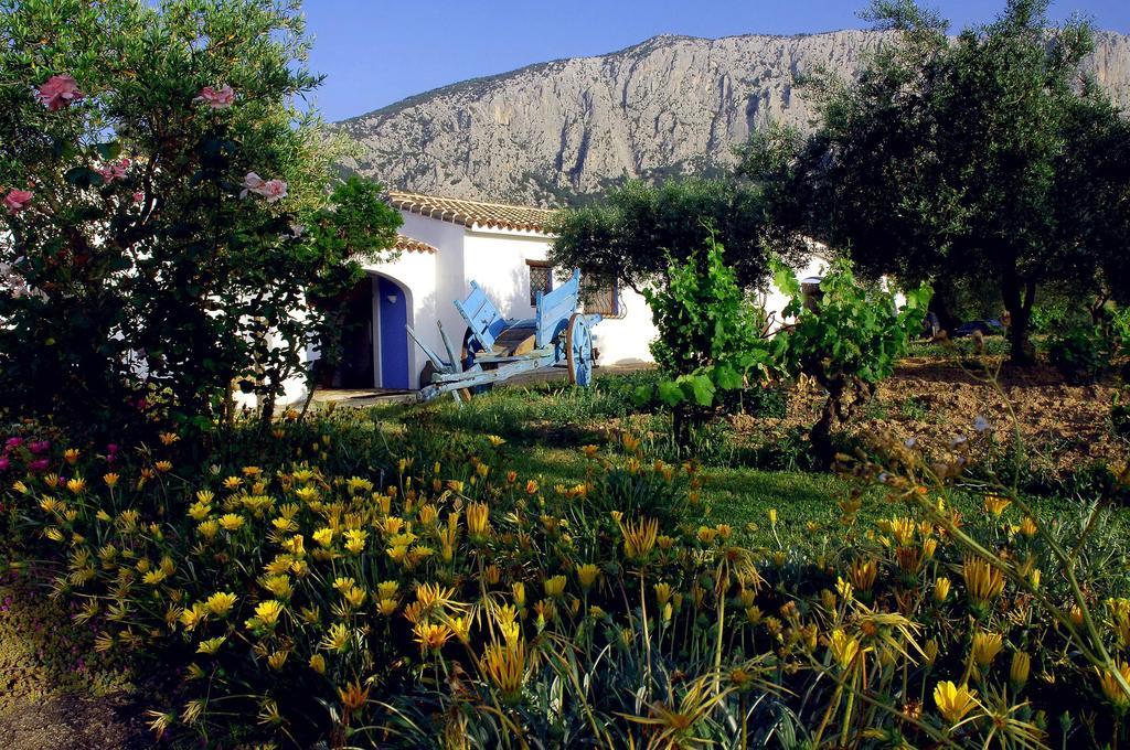 Agriturismo Guthiddai أوليينا المظهر الخارجي الصورة