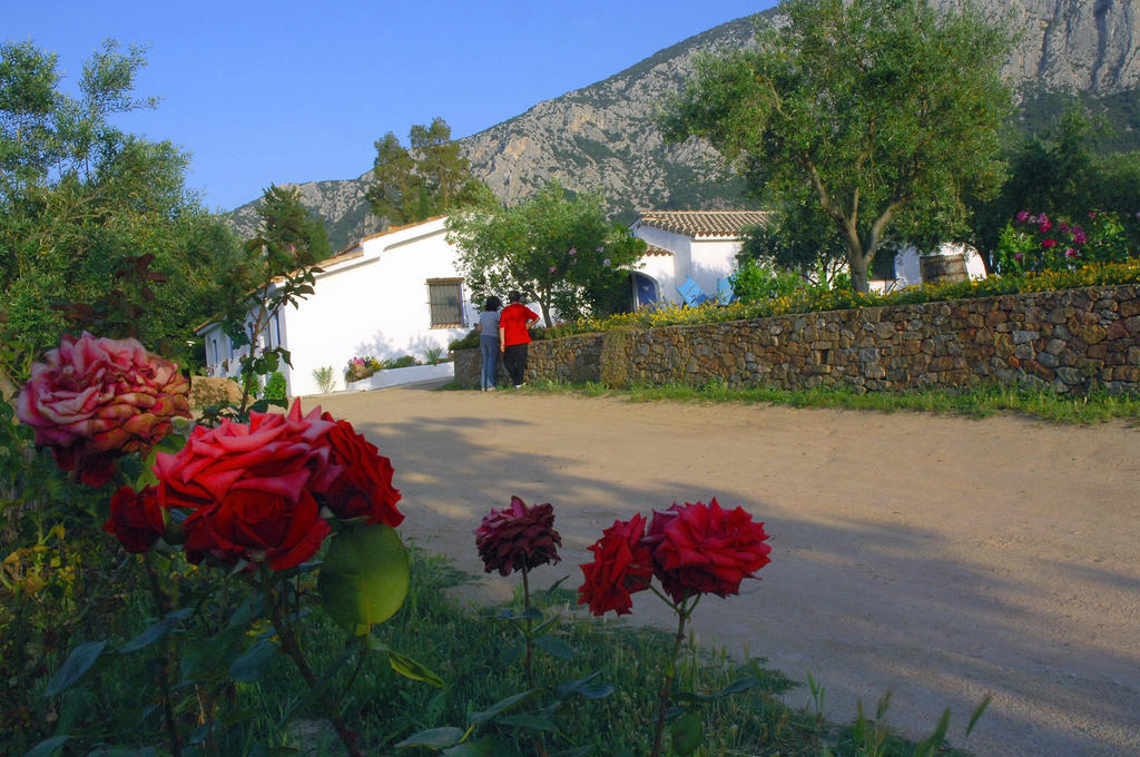 Agriturismo Guthiddai أوليينا المظهر الخارجي الصورة