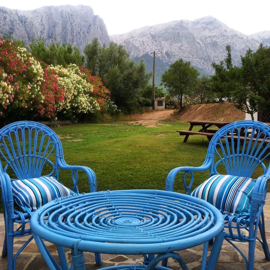 Agriturismo Guthiddai أوليينا المظهر الخارجي الصورة