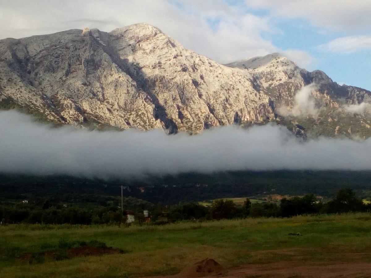 Agriturismo Guthiddai أوليينا المظهر الخارجي الصورة
