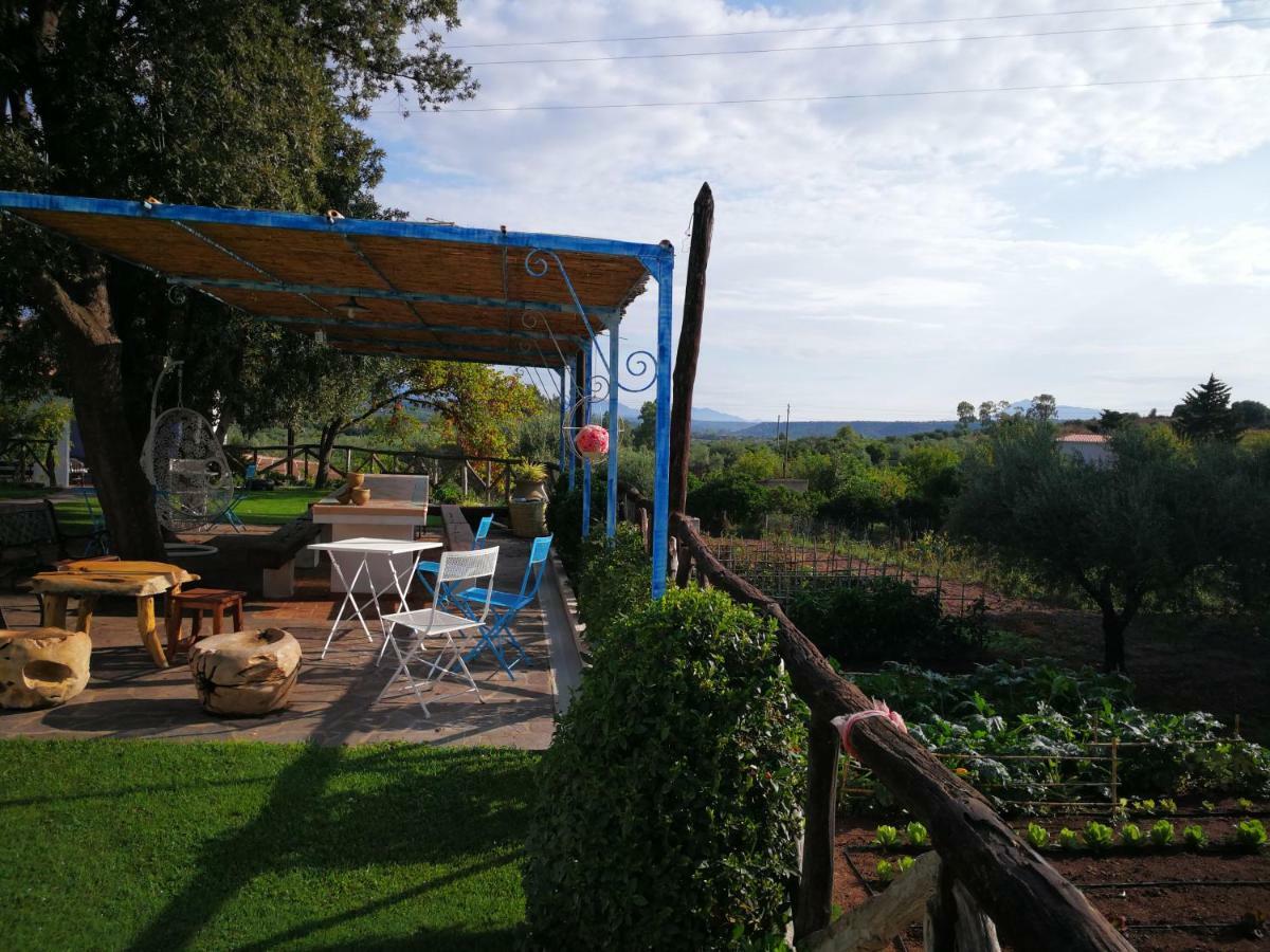 Agriturismo Guthiddai أوليينا المظهر الخارجي الصورة